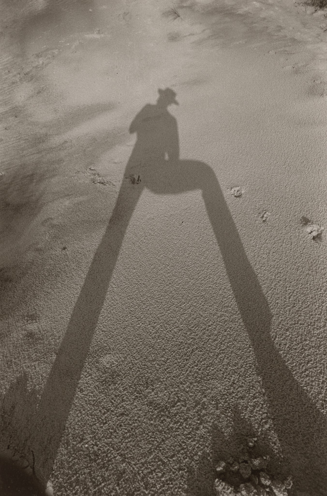 Fire Island Shadow