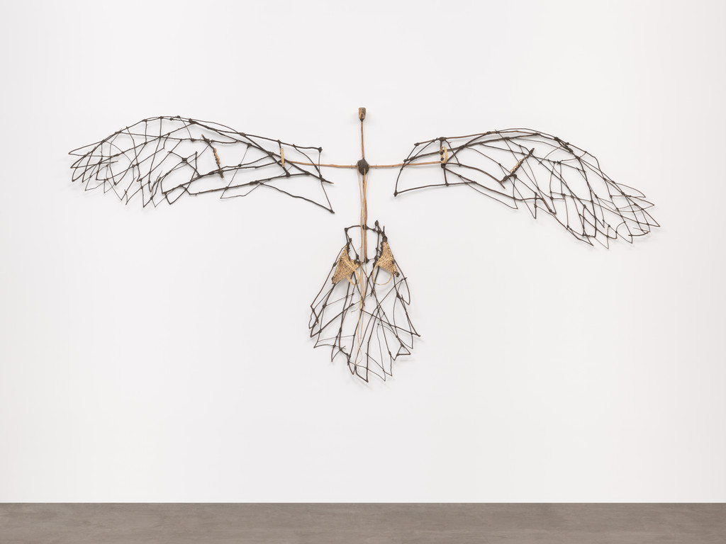 Bird that Flies over America