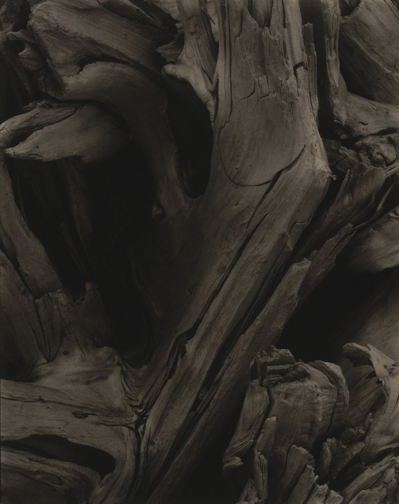 Driftwood