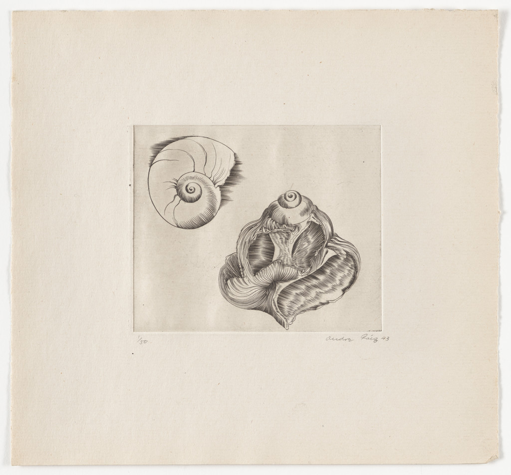 Untitled from The Flowering Rock