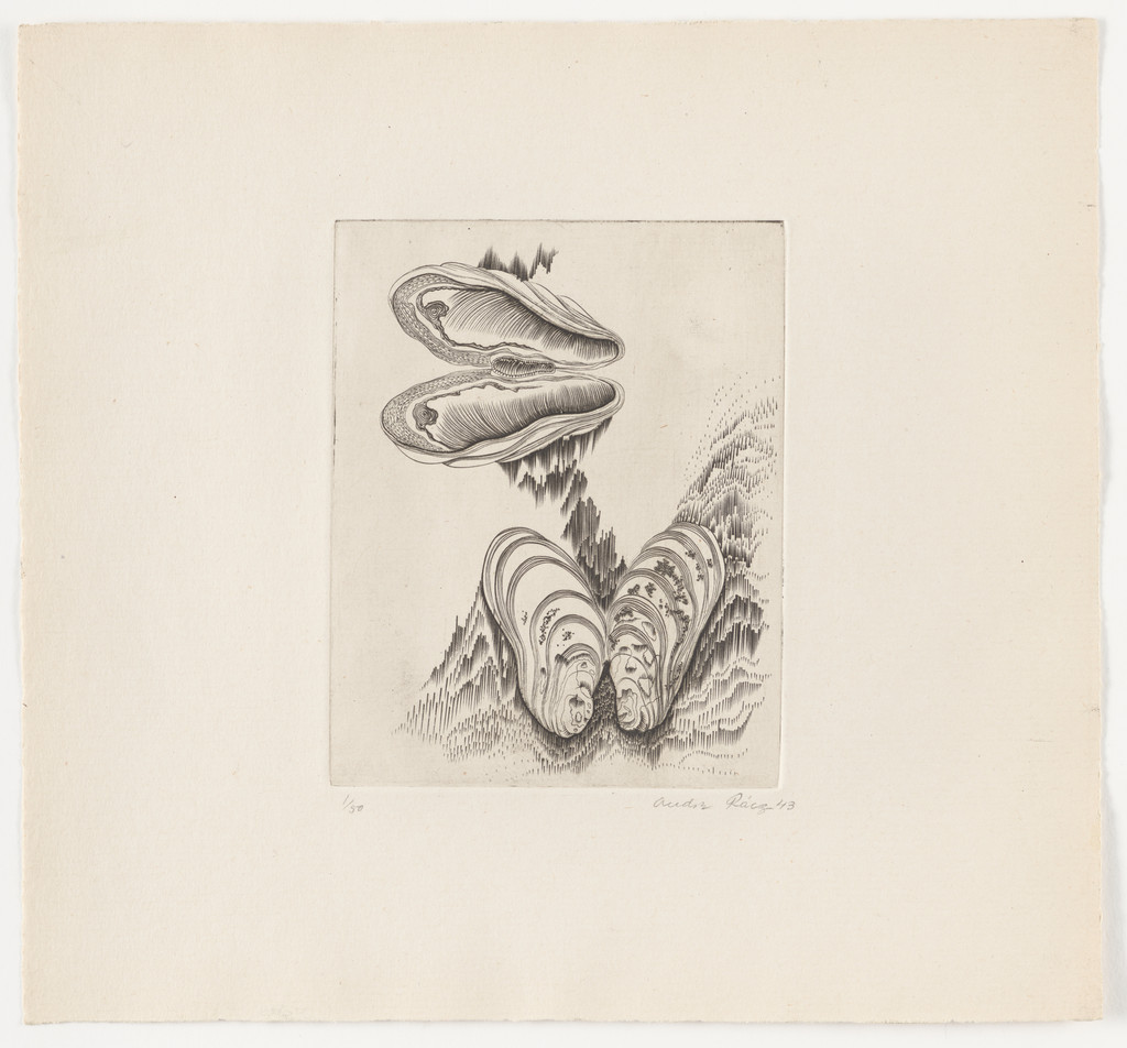 Untitled from The Flowering Rock