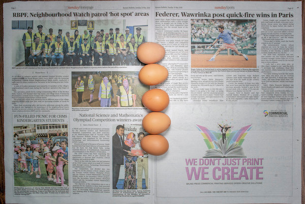 The Poverty Line (Eggs) (Brunei)