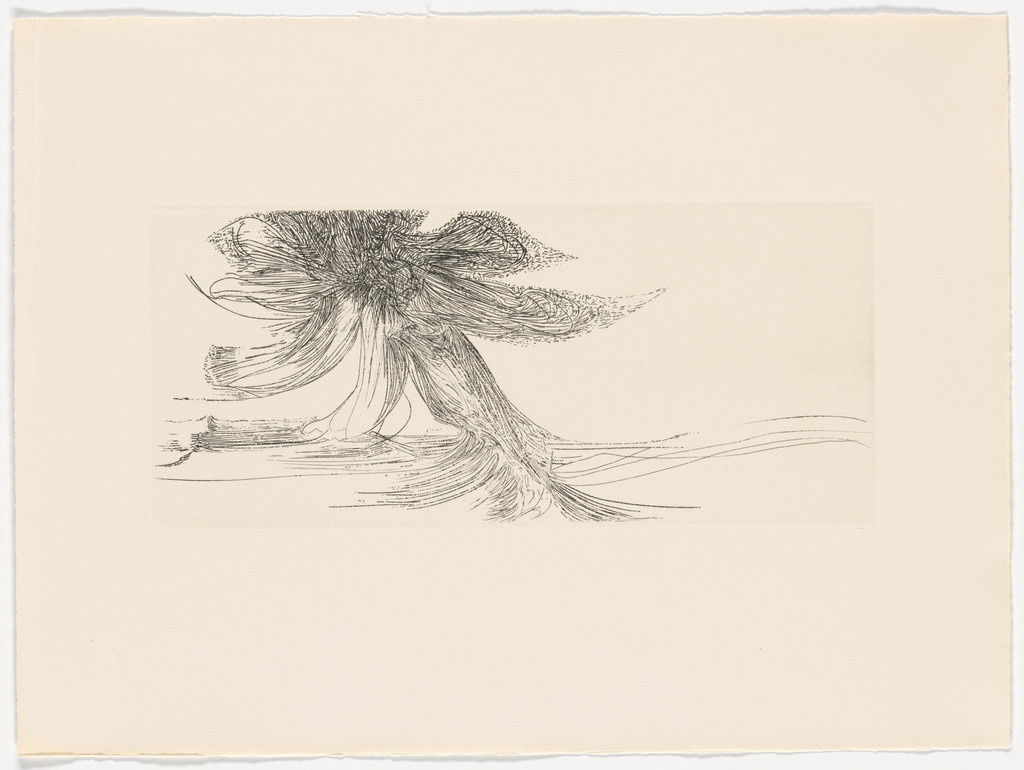 Plate (folio 30) from Litany of Water (Litanie d'eau)