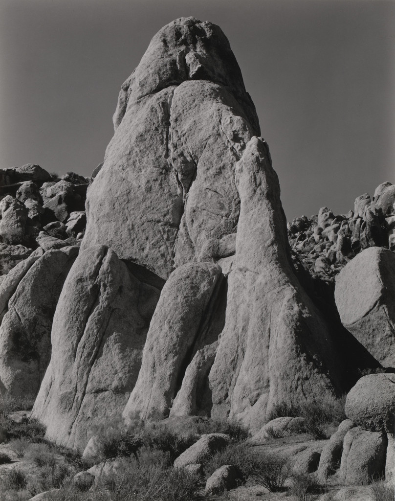 Mojave Desert