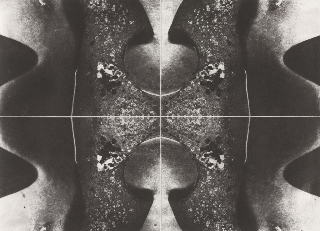 Untitled from the series The Grottoes