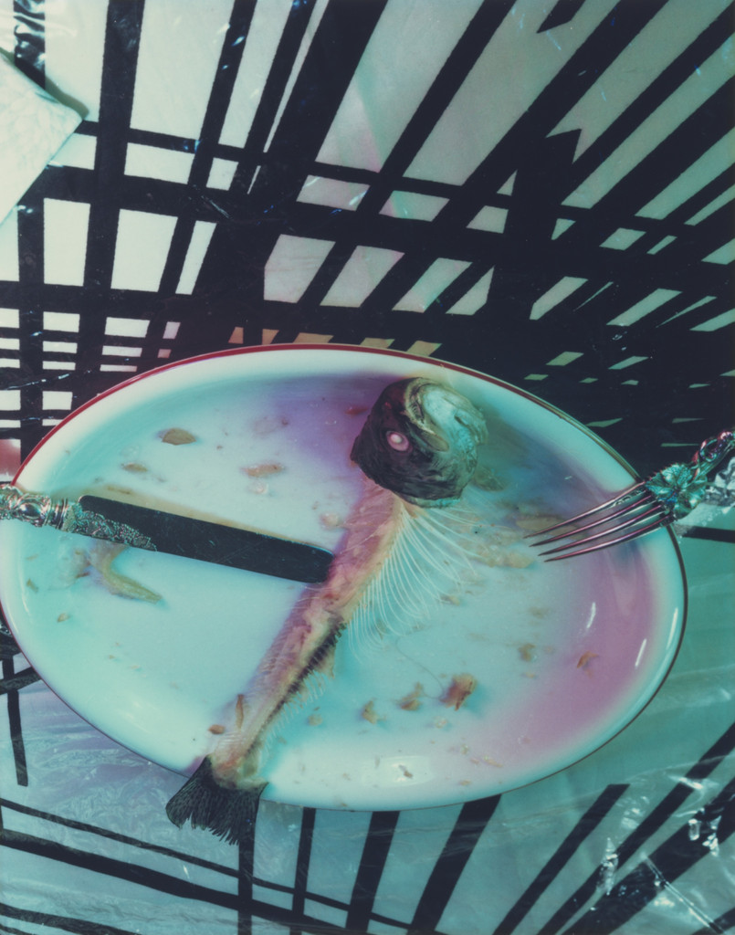 Still Life