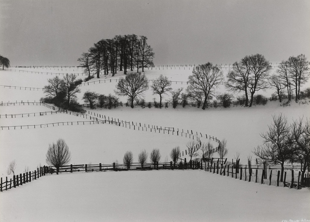 Winter Landscape with Oak Grove, Wamel