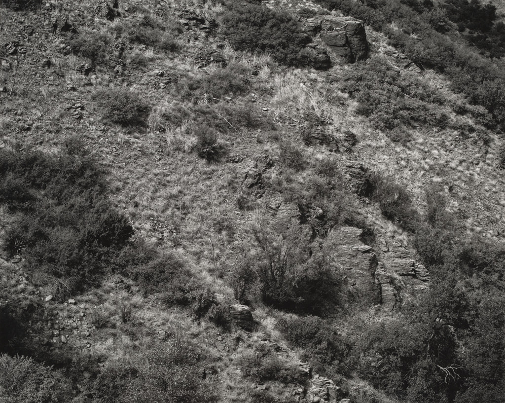Arizona Landscape