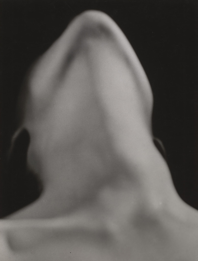 Anatomies