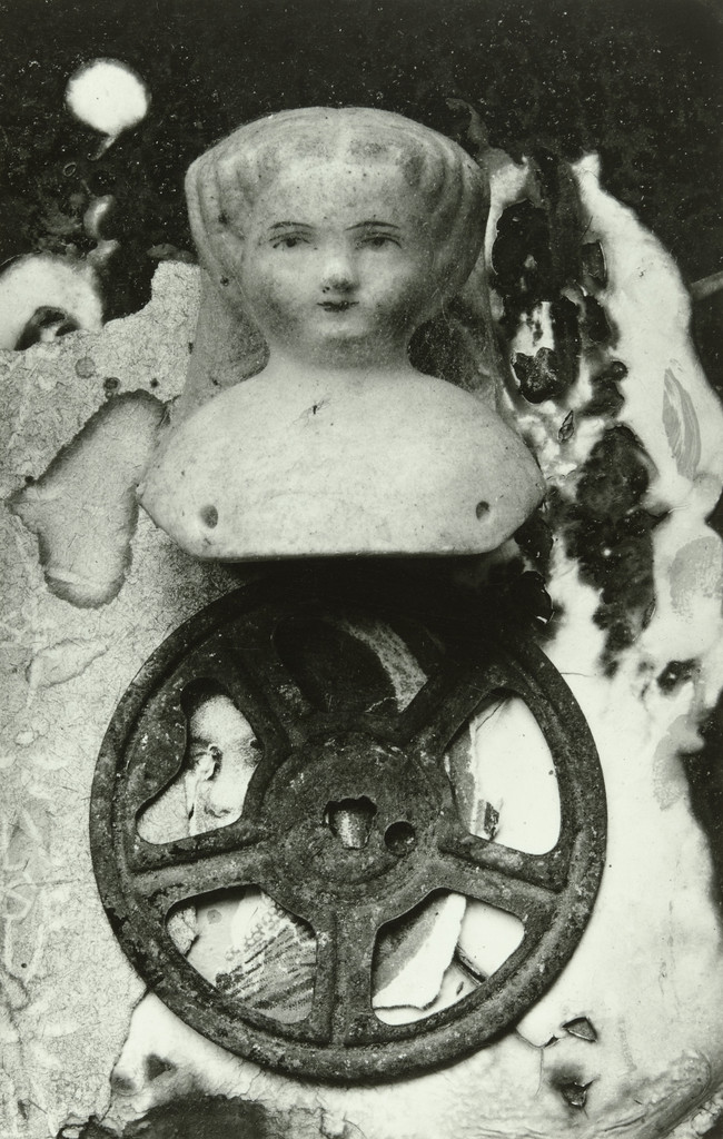 Aurelia