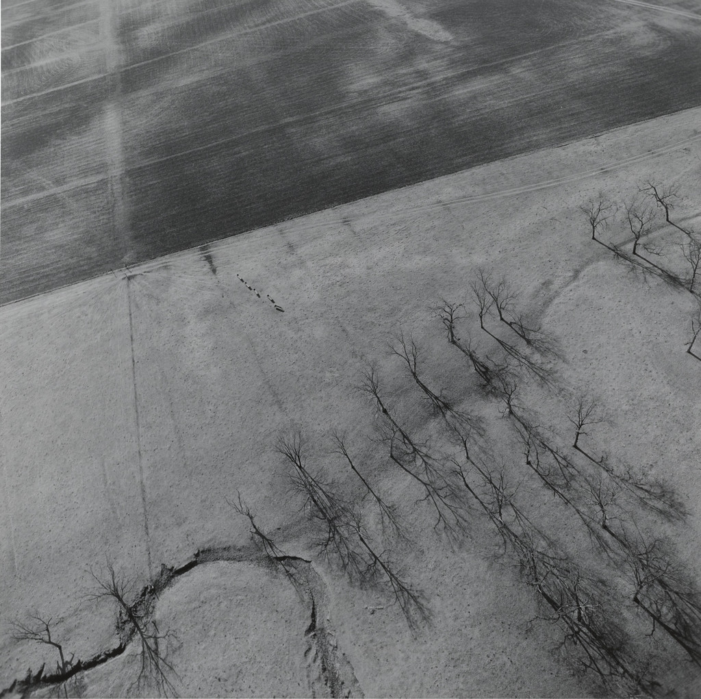 Aerial View/Trees and Field Near Tulsa, Oklahoma