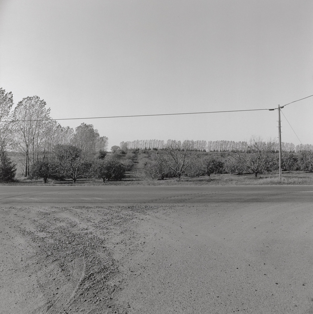 Landscape/near Stillwater, Minneapolis