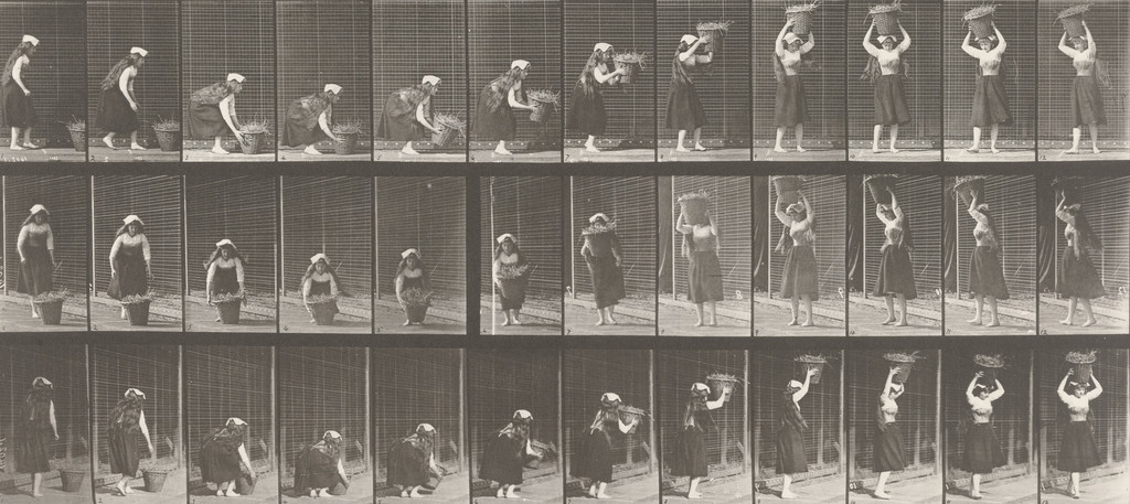 Woman Lifting a 30-lb. Basket from Ground to Head and Turning: Plate 230 from Animal Locomotion (1887)
