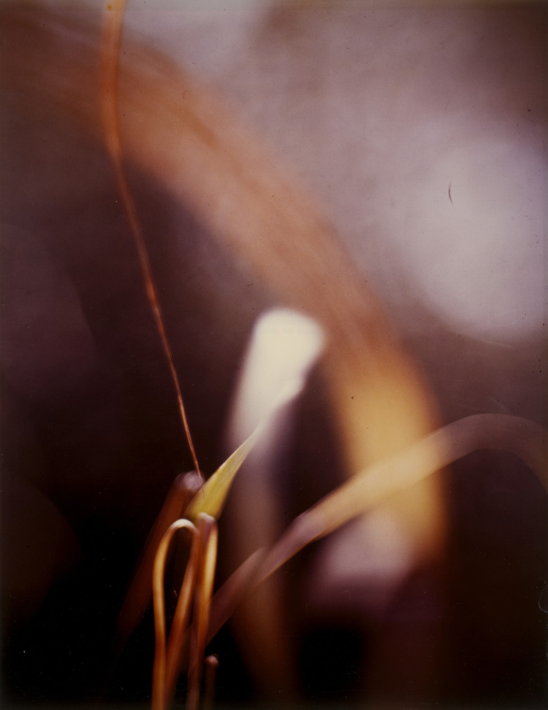 Abstraction