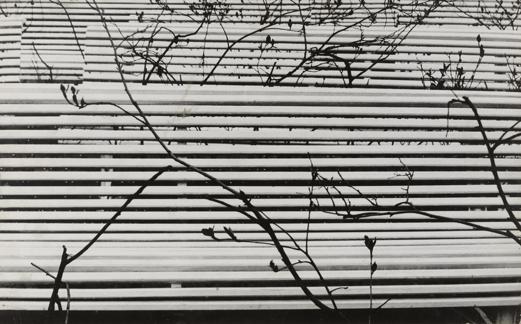 Snow on Slats