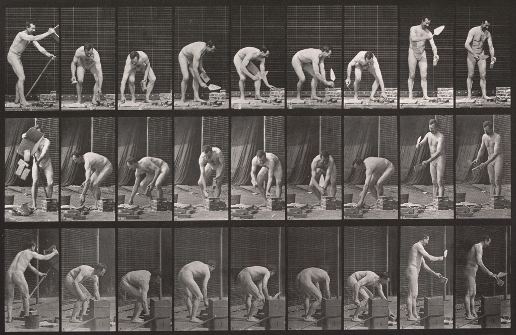 Bricklaying: Plate 505 from Animal Locomotion (1887)