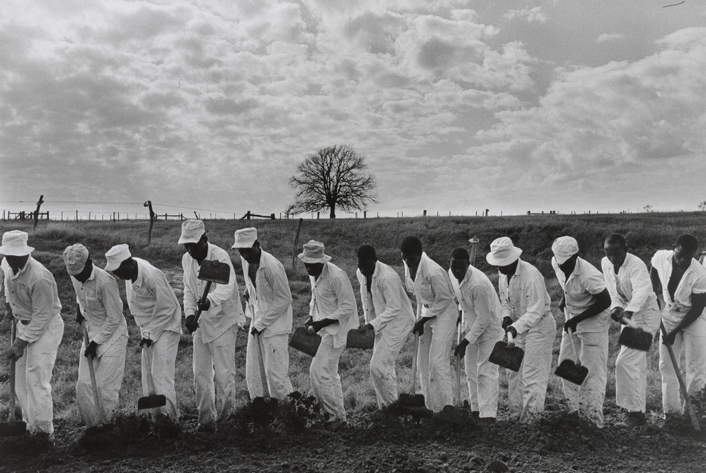 The Line, Ferguson Prison, Texas