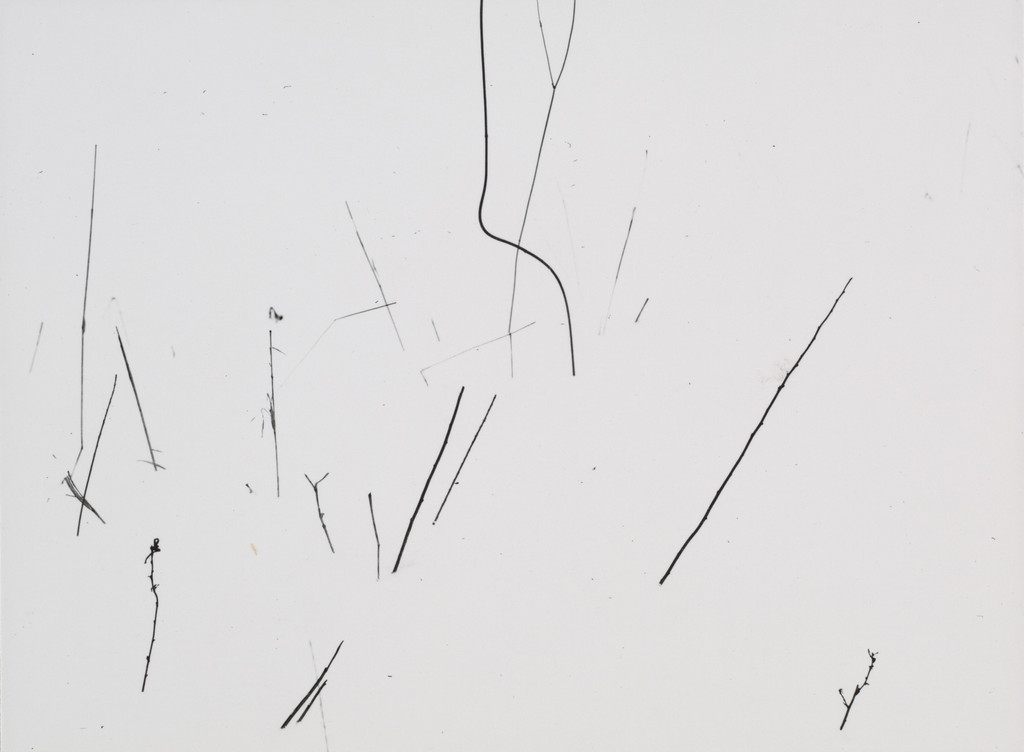 Grasses in snow - Calligraphy