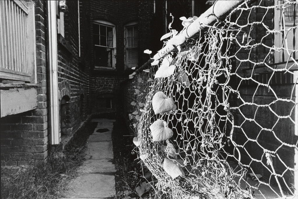 Untitled (Wilkes-Barre, Pennsylvania)