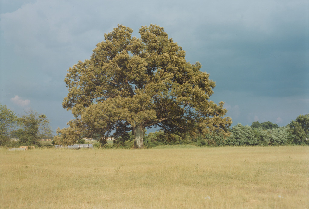 Near Hernando, Misssissippi