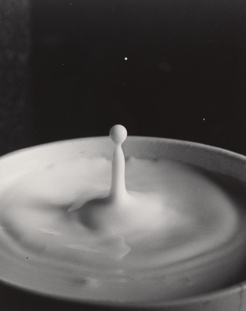 Milk Drop
