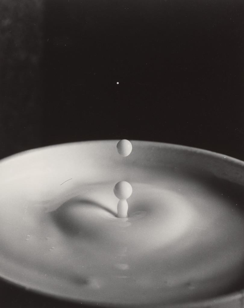 Milk Drop