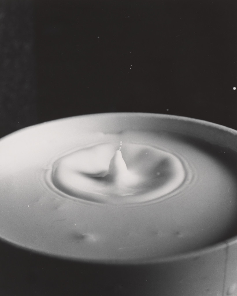 Milk Drop