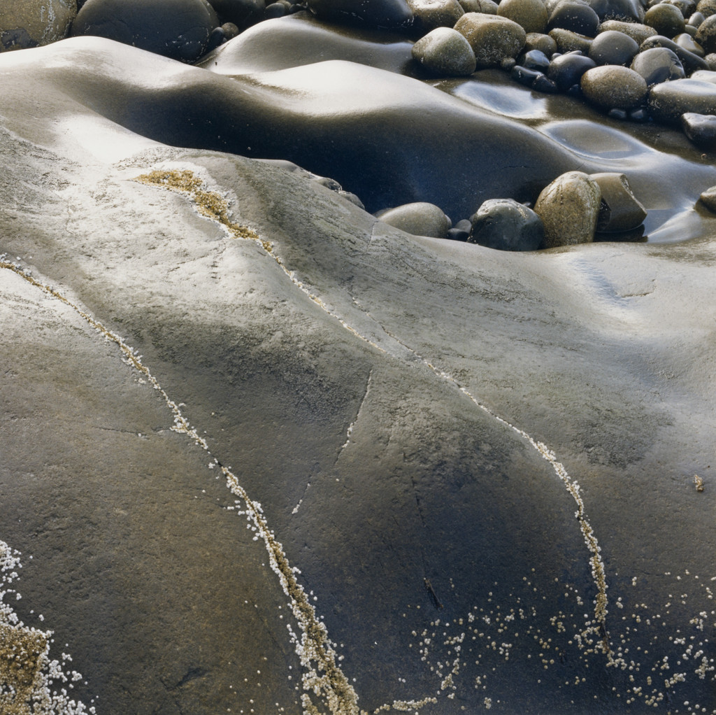 Lanes Island, Earth Eggs