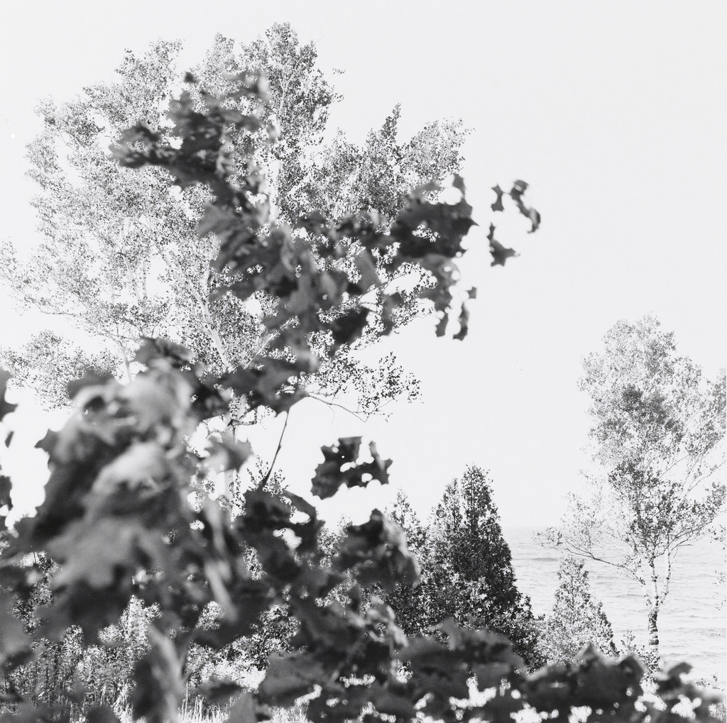 Earthly Delights