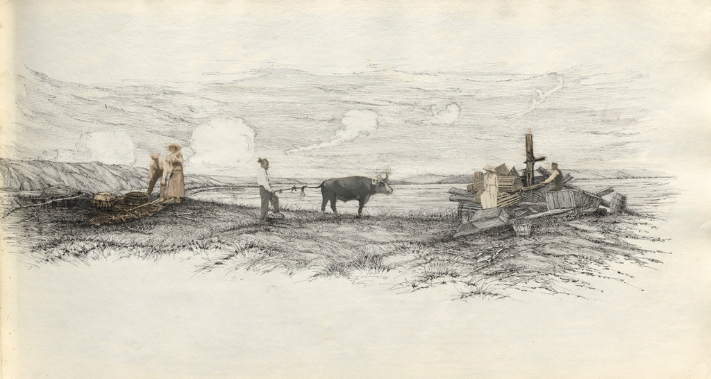 Untitled (page from album titled "July 1913")