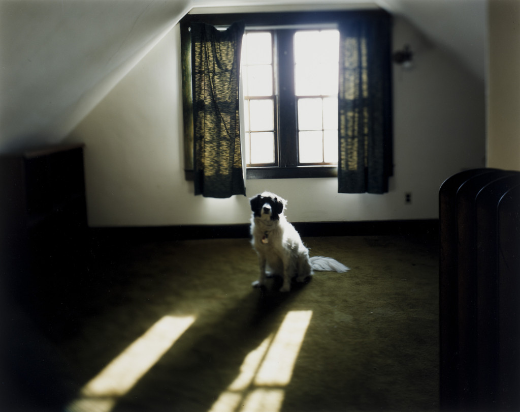 Untitled