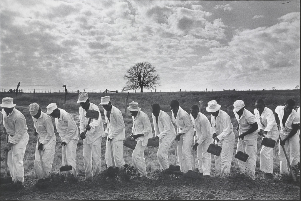 The Line, Ferguson Unit, Texas