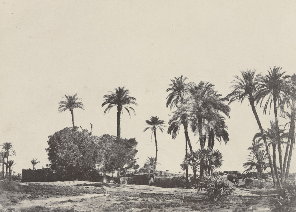 Village de Hamameh