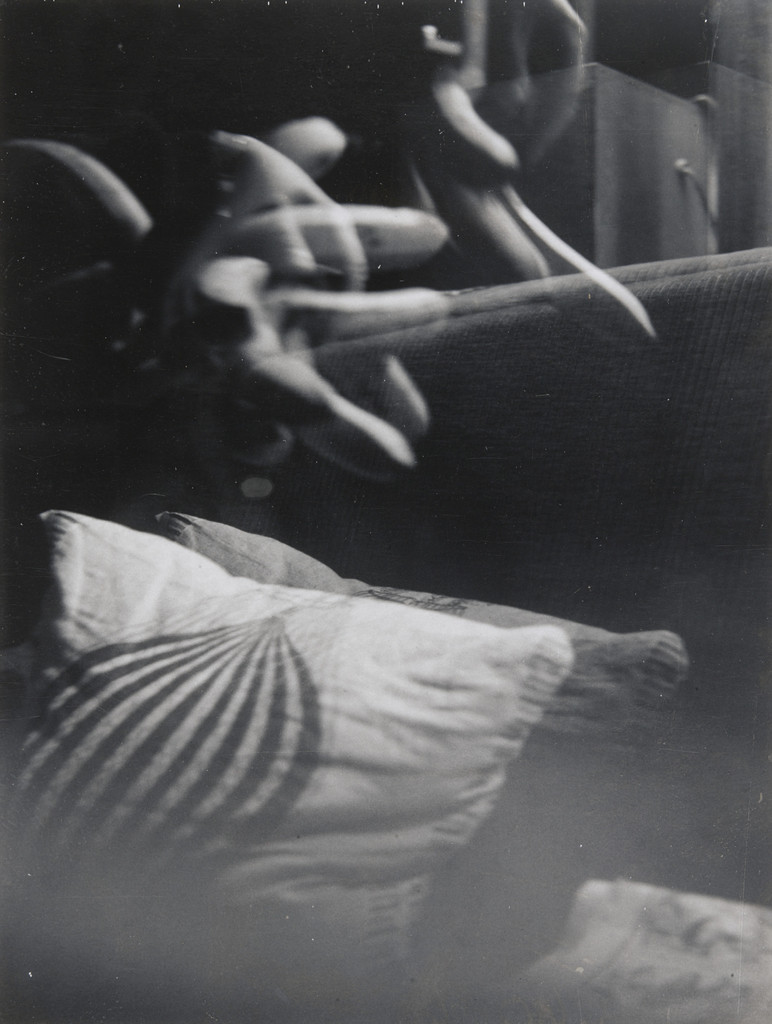 Unconcerned Photograph