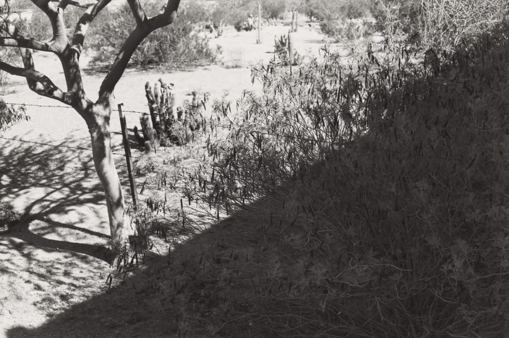 Phoenix, Arizona