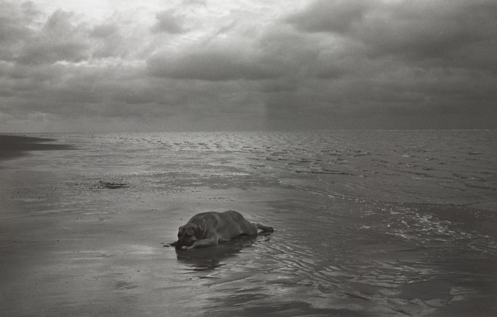 Melancholia