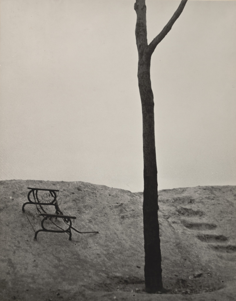 Le Terrain Vague