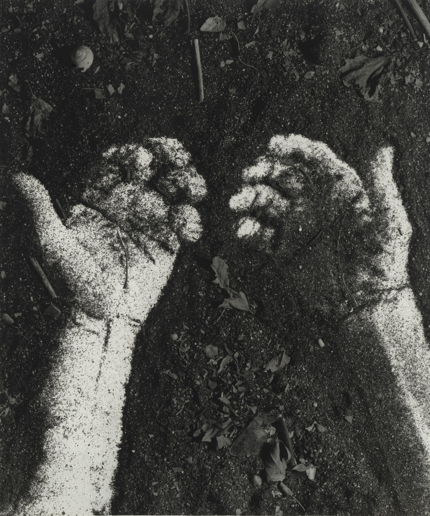 Hands