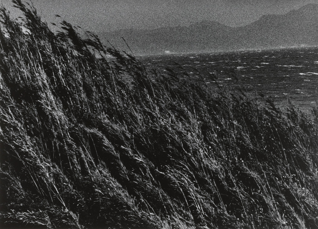 Untitled #5 from the series Yokosuka Story