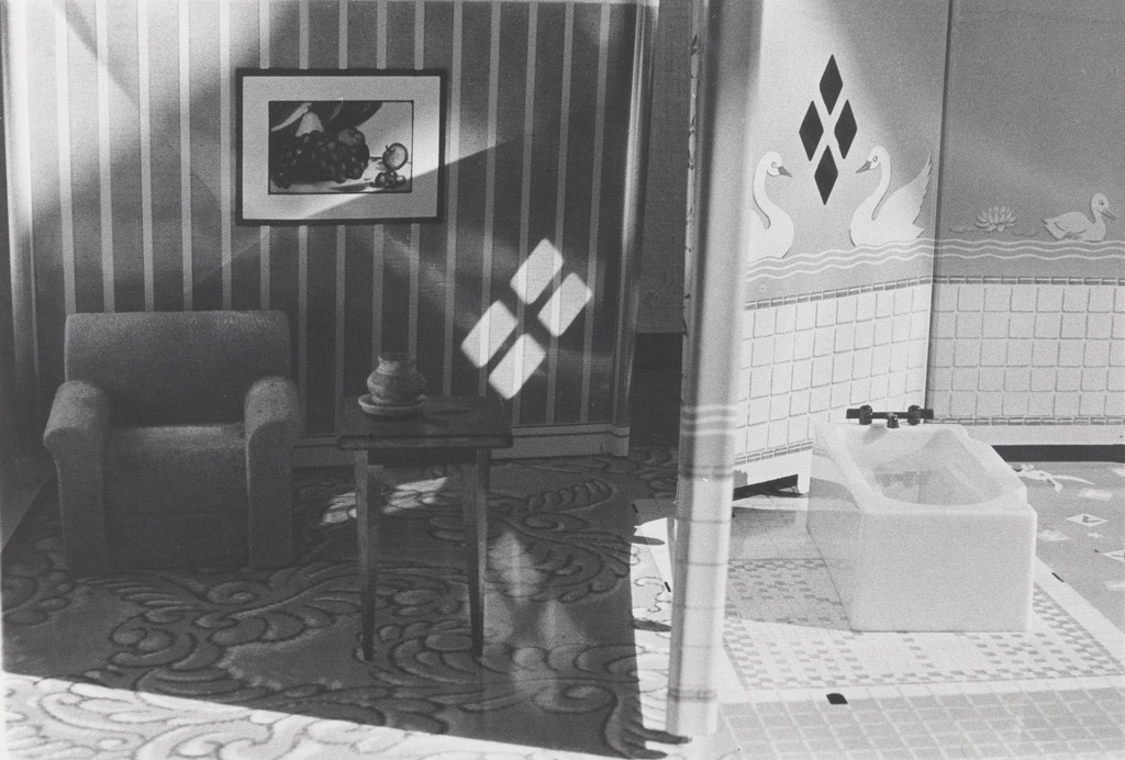 Living Room/Bathroom II. from the series Interiors