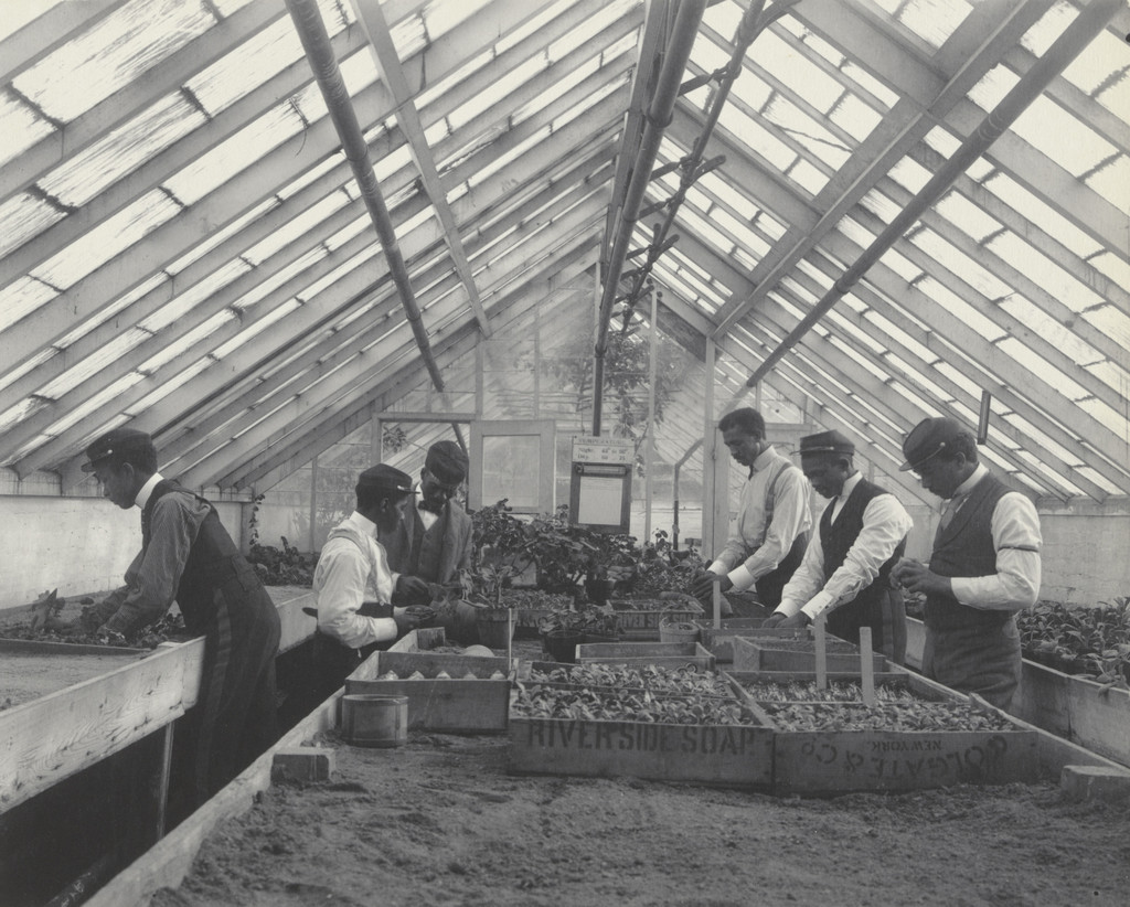 Agriculture - Plant life. Propagating