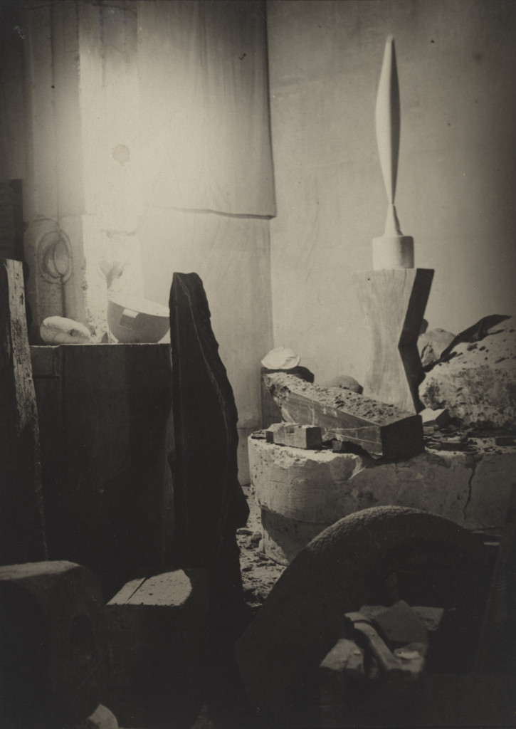 Untitled (View of the Studio with Bird in Space)