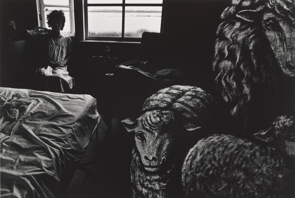 Marilyn and the Sheep