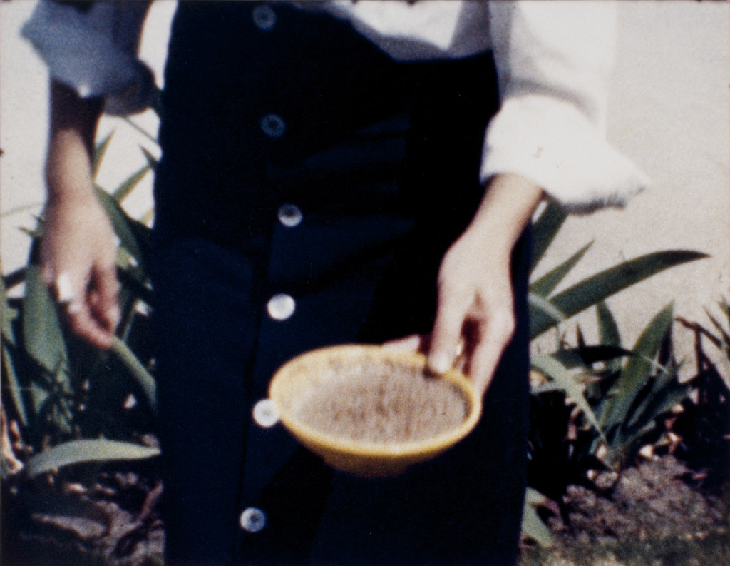 Film Still from the Sultan Family Home Movies