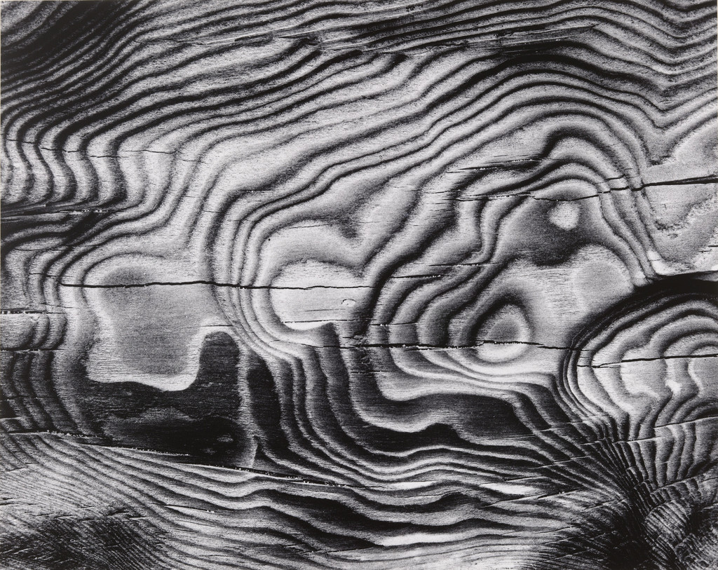 Burned Driftwood, Mendocino