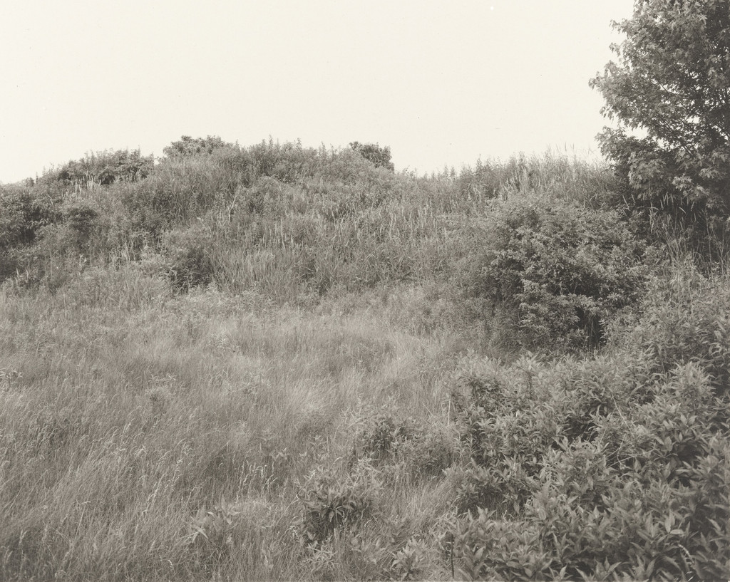 Plain Fields