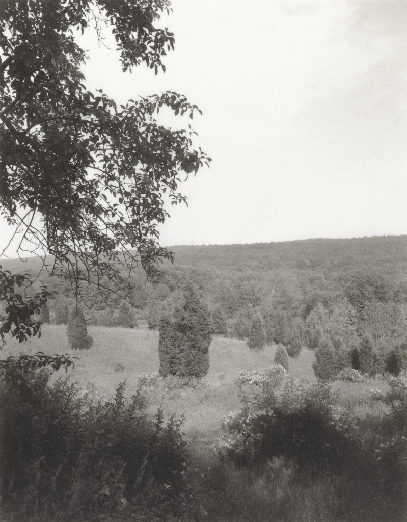 Plain Fields
