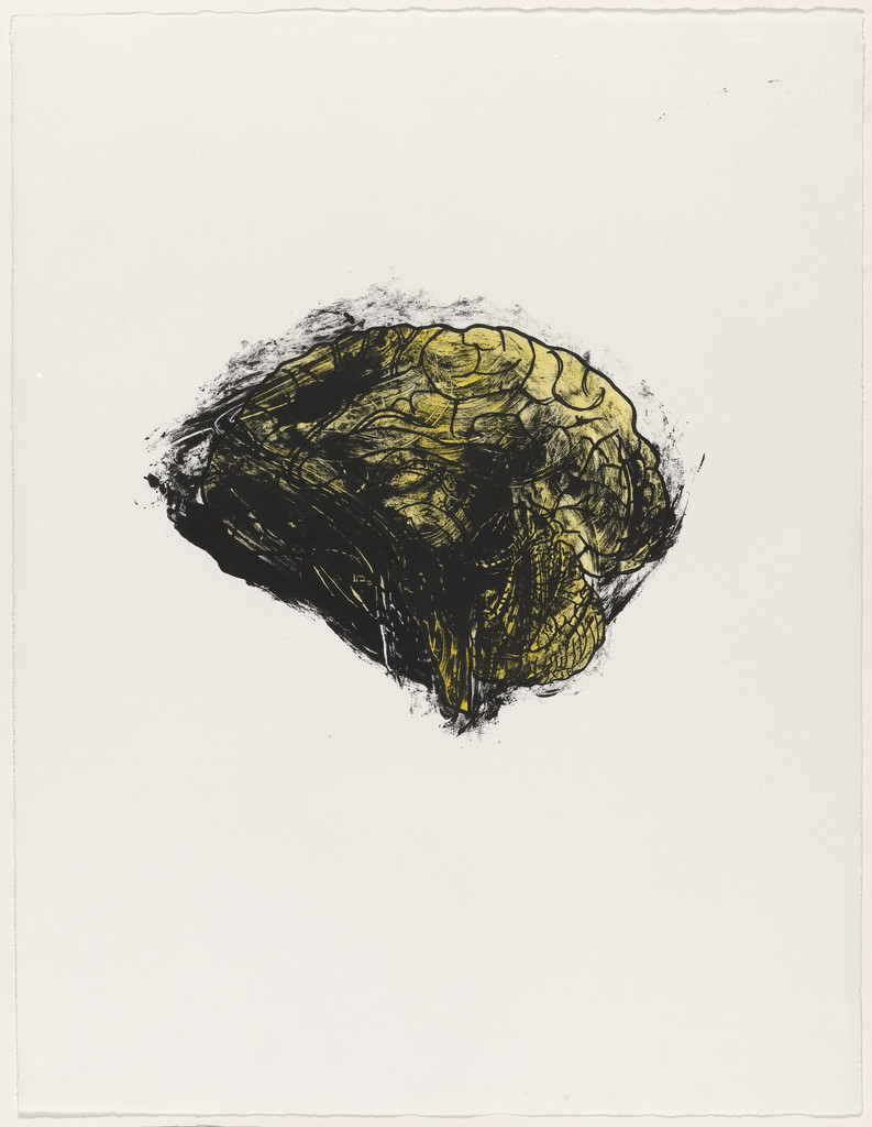 Brain from Possession Is Nine-Tenths of the Law