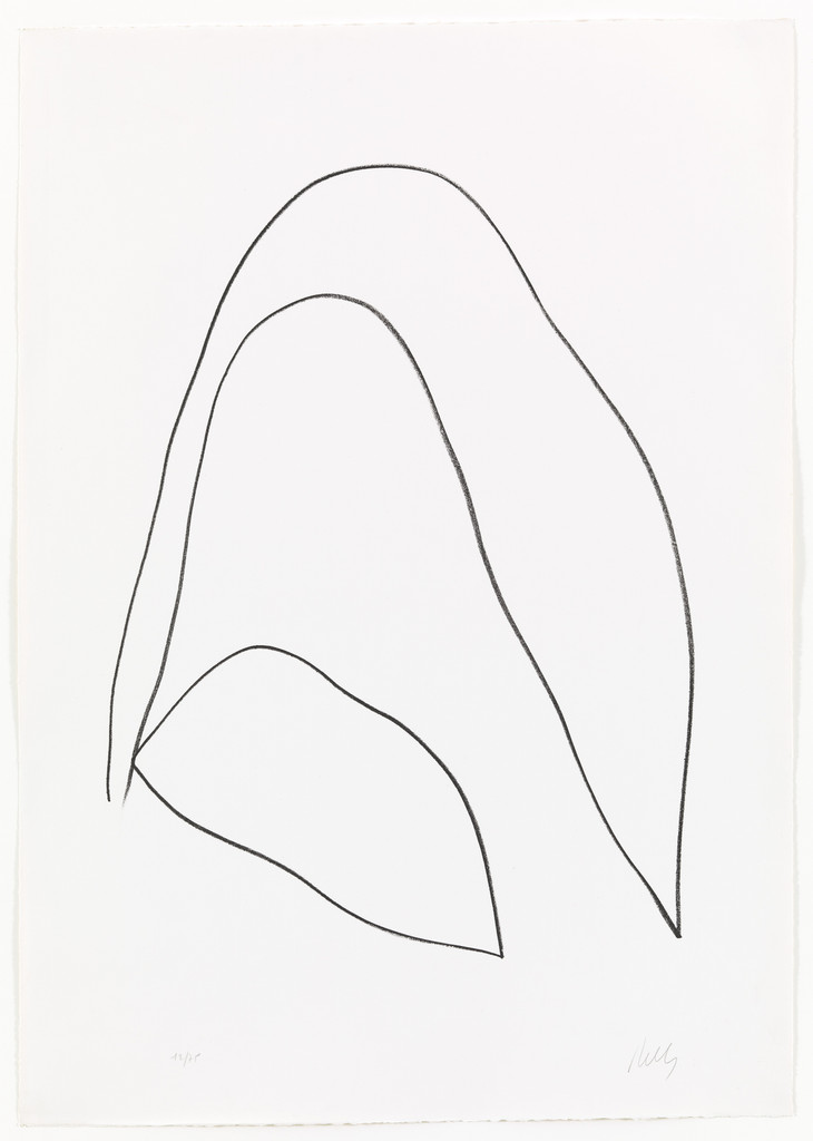 Leaves (Feuilles) from Suite of Plant Lithographs