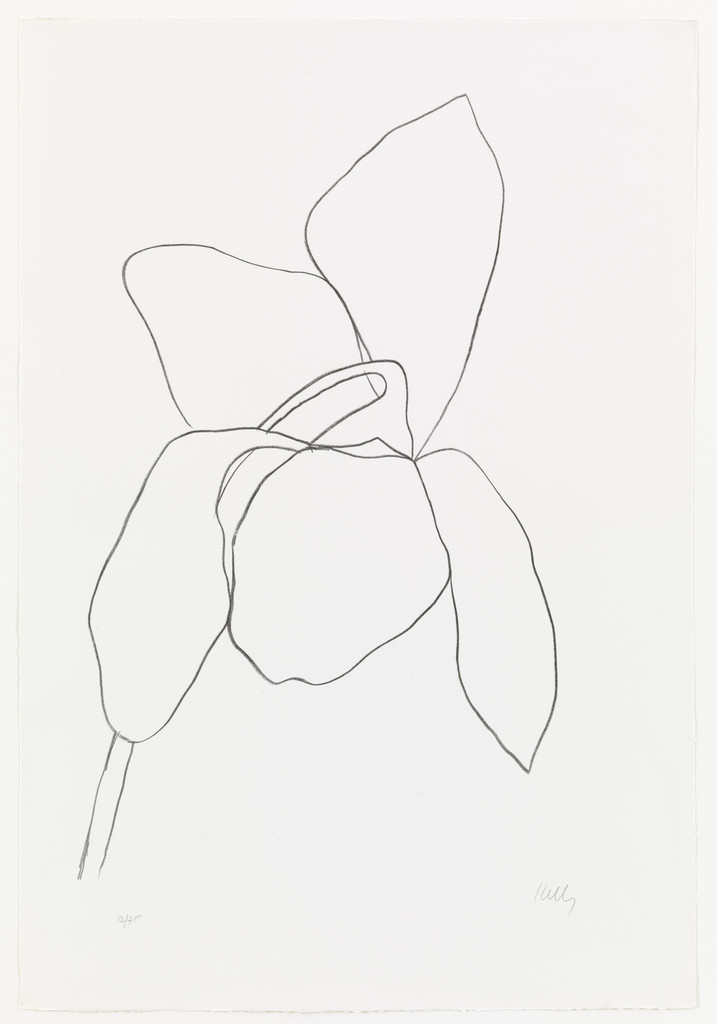 Cyclamen I from Suite of Plant Lithographs